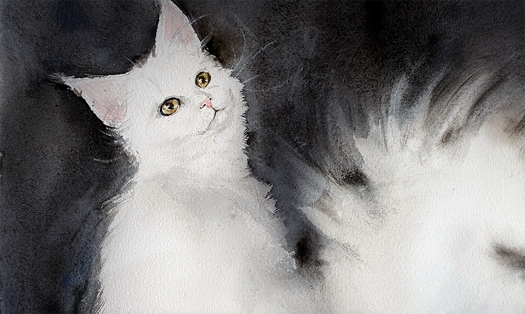 Котешки истории I