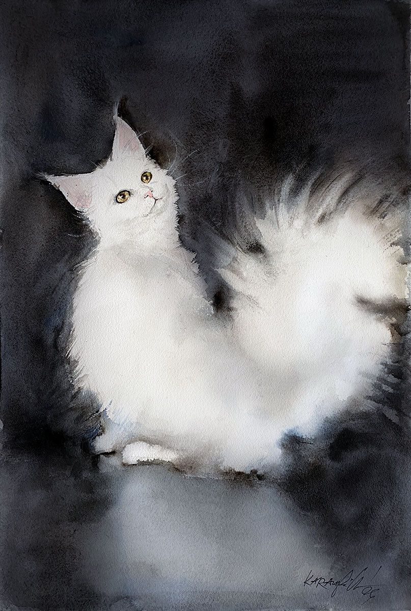 Котешки истории I