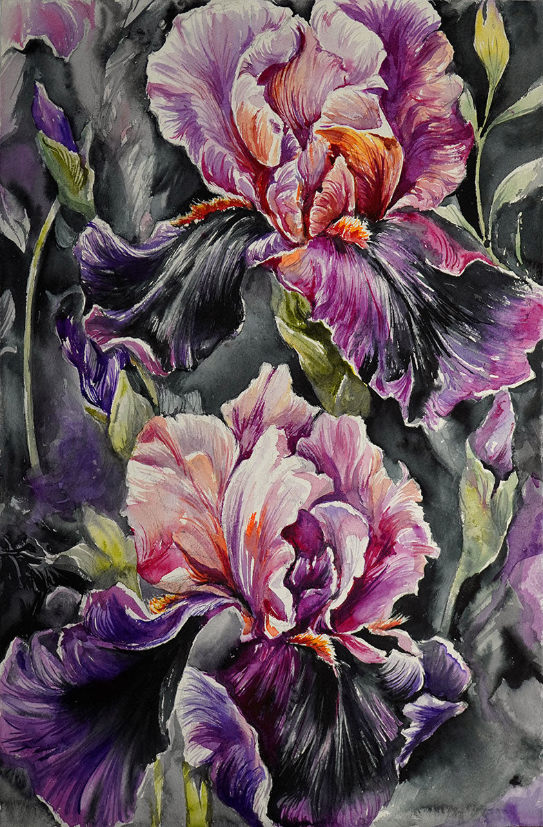 dramatic flowers watercolor irises