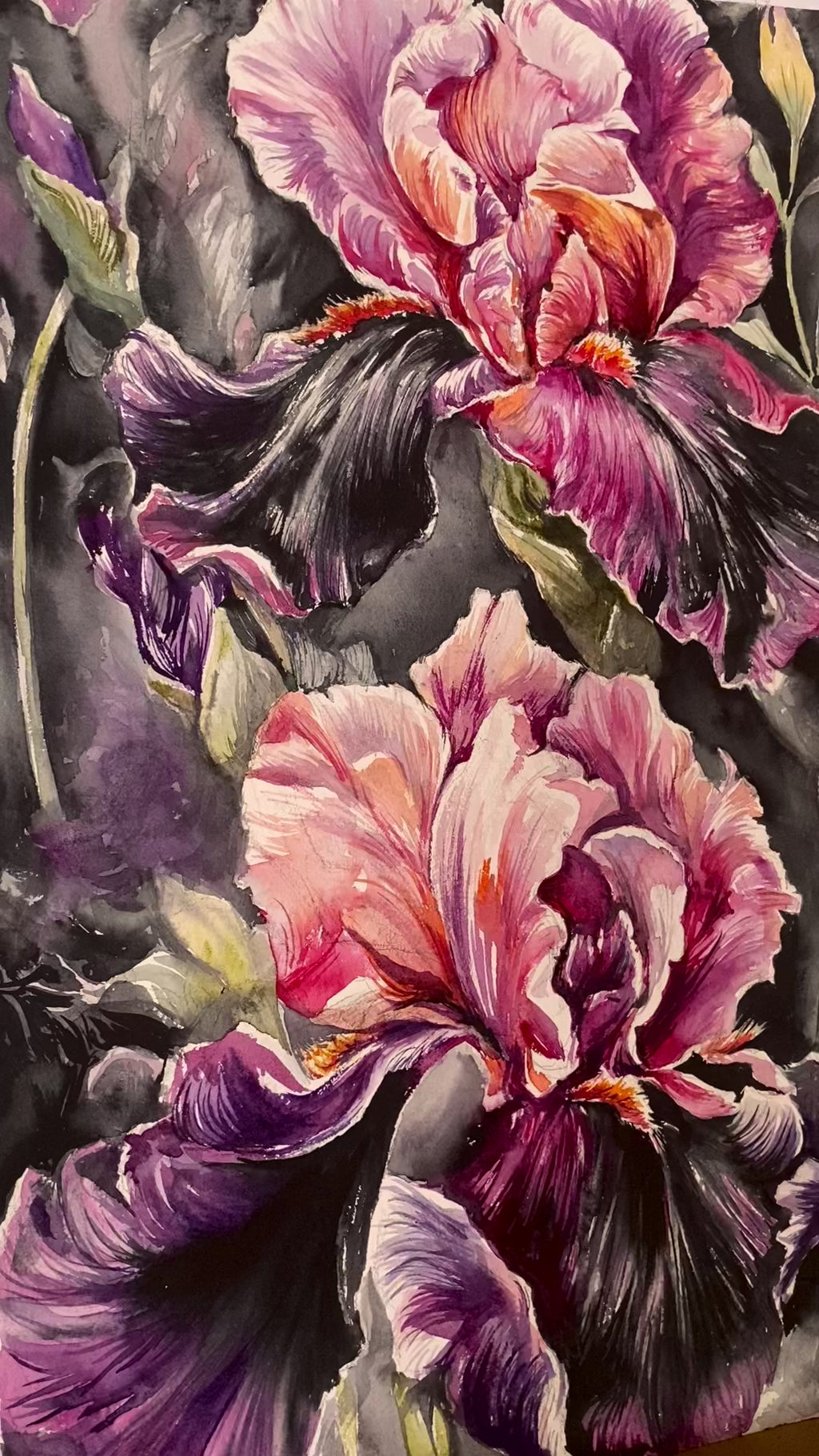 watercolor irises painting
