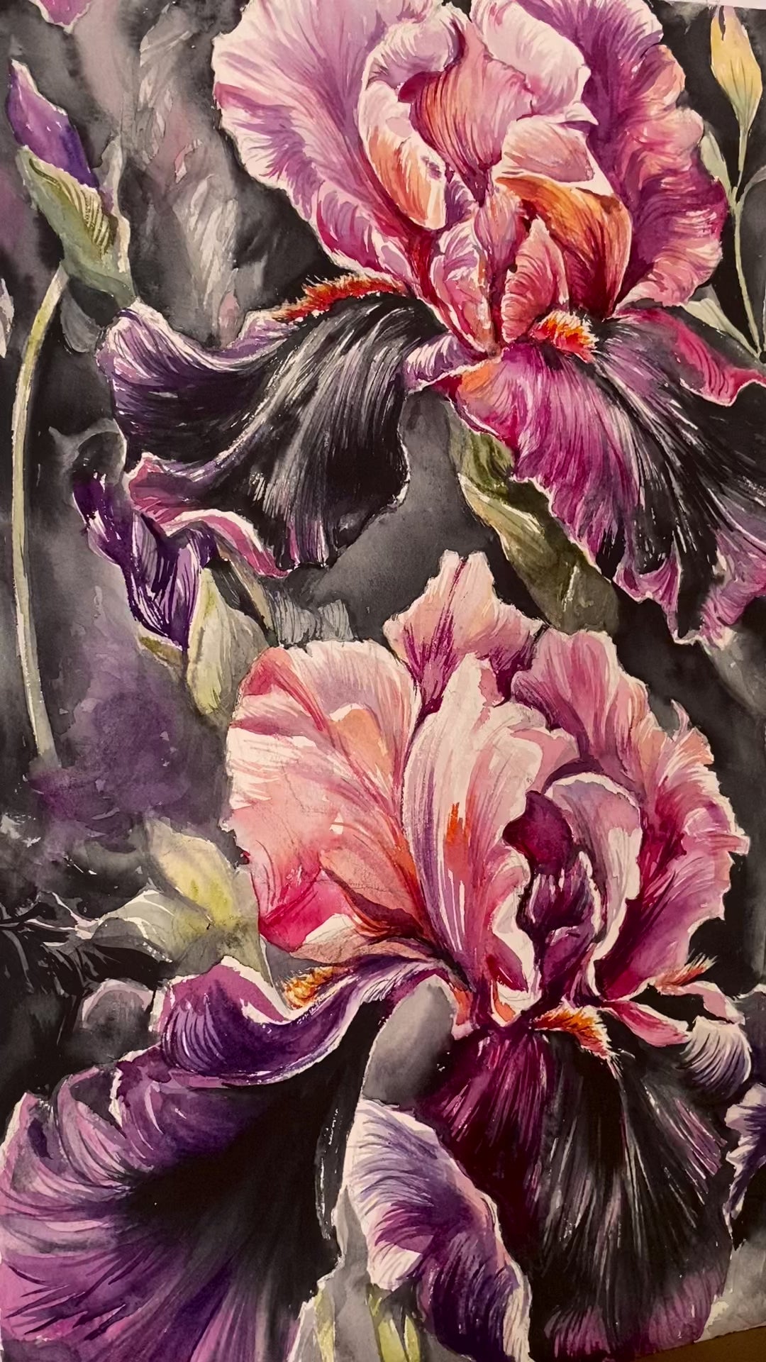 watercolor irises painting